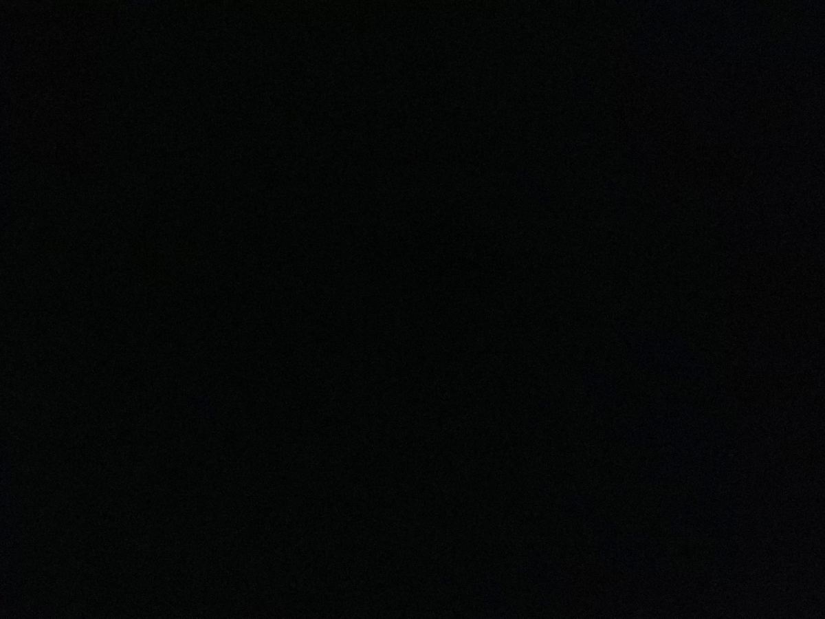 跳跳虾（2粒）