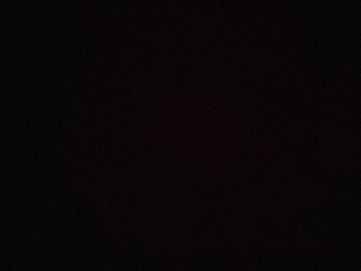 鱼籽福袋（2粒）