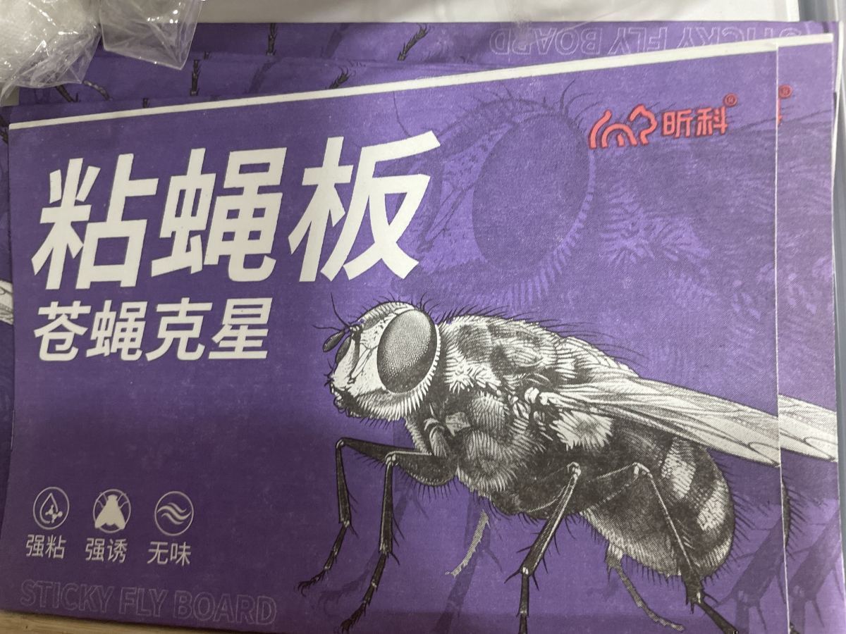 粘蝇板